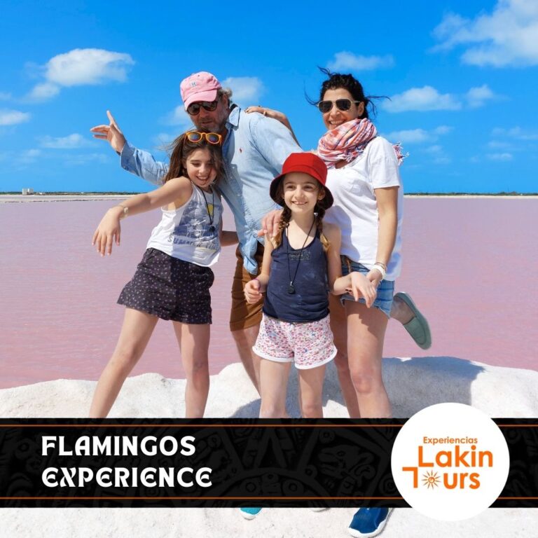 Flamingos-experience-lakin-tours (4)