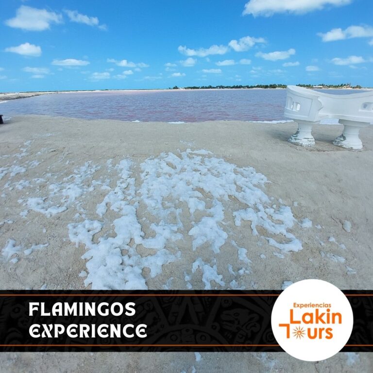 Flamingos-experience-lakin-tours (7)